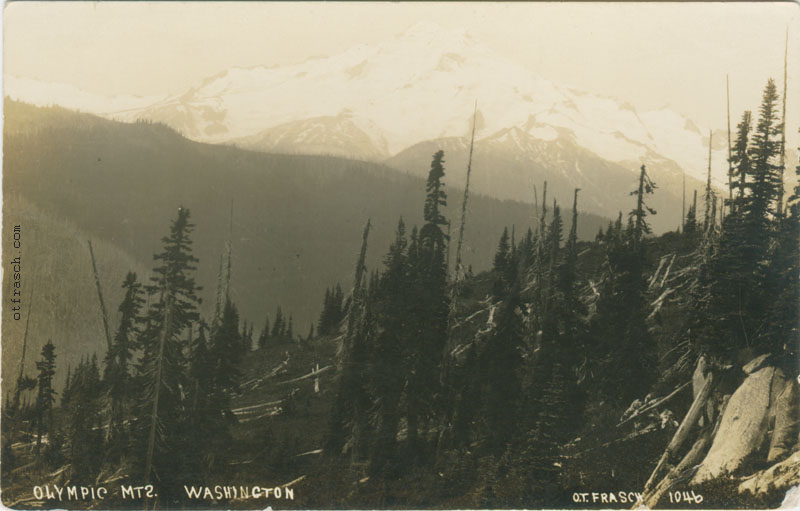 Image 1046 - Olympic Mts. Washington