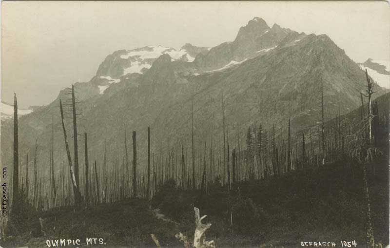 Image 1054 - Olympic Mts.