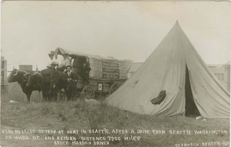 Image 168 - Ezra Meeker's Ox Team at Camp in Seattle After a Drive from Seattle Washington to Wash. D.C. and Return