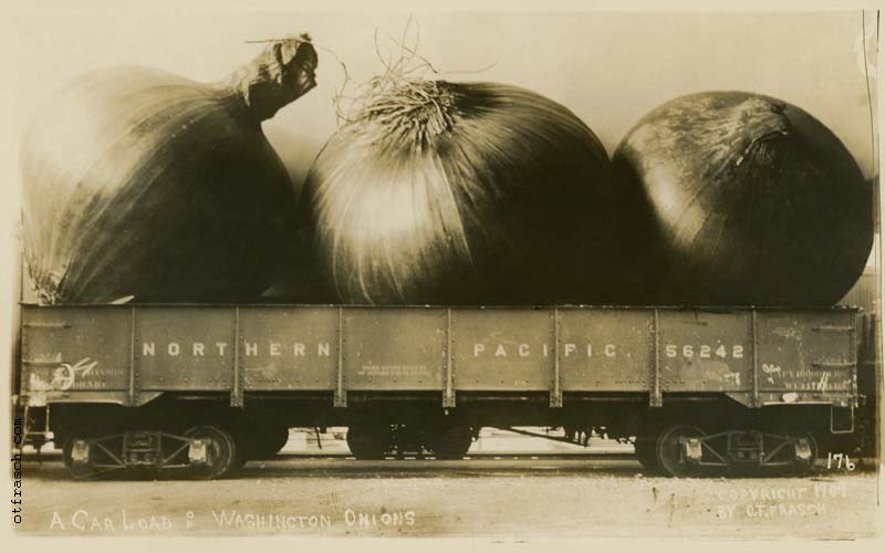 Image 176 - A Car Load of Washington Onions