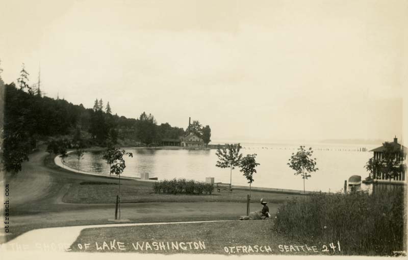 Image 241 - The Shore of Lake Washington