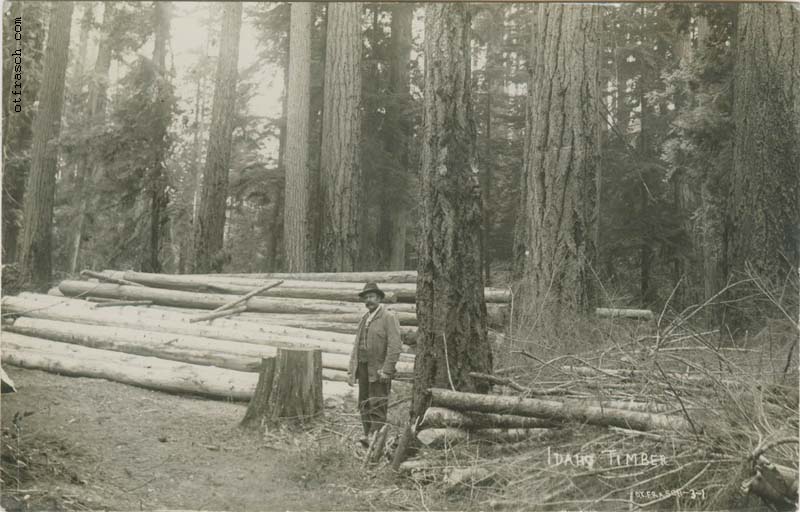 Image 31 - Idaho Timber
