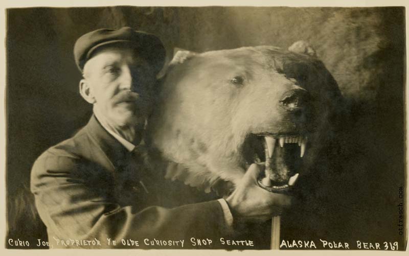 Image 369 - Curio Joe Proprietor Ye Olde Curiosity Shop Seattle Alaska Polar Bear
