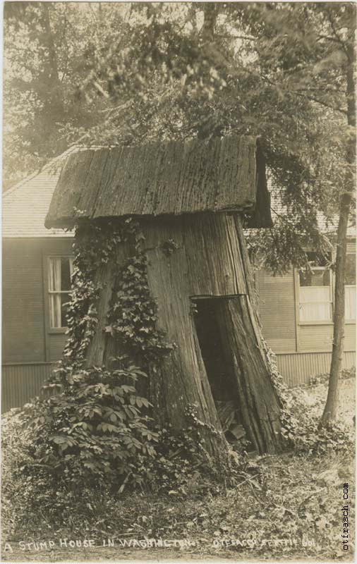 Image 661 - A Stump House in Washington