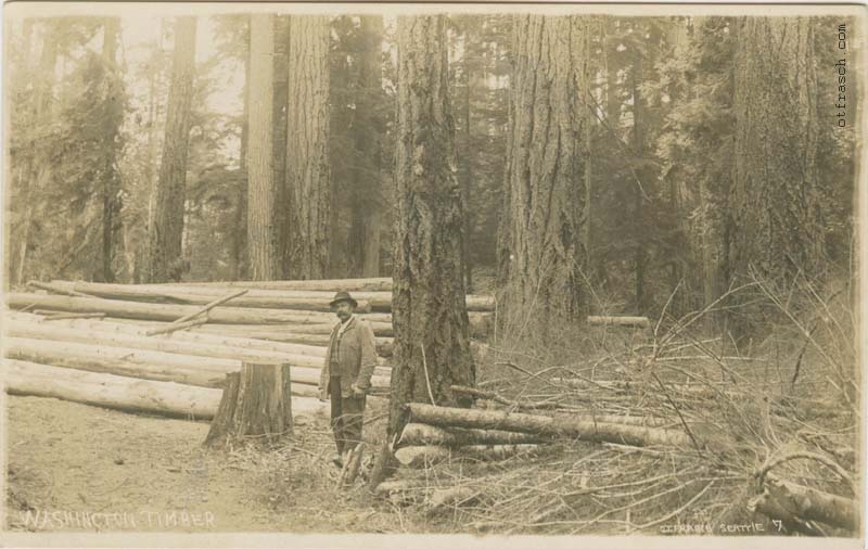 Image 7 - Washington Timber