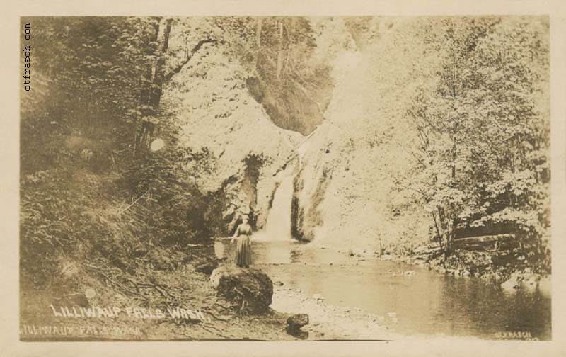 Copy of Image 913 - Lilliwaup Falls Wash