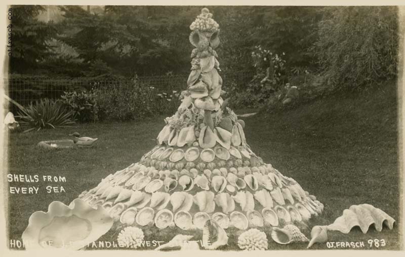 Image 983 - Shells from Every Sea Home of J.E. Standley West Seattle