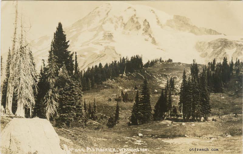 Copy of Image R2 - Mt. Rainier Washington