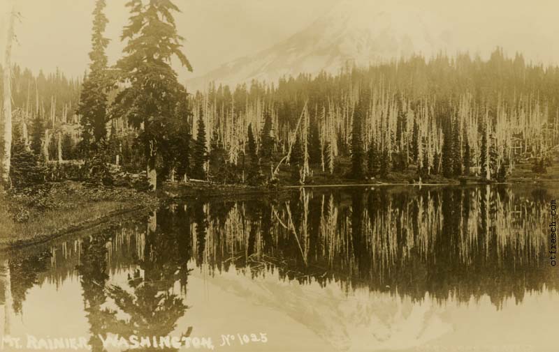 Copy of Image R6 - Mt. Rainier Washington