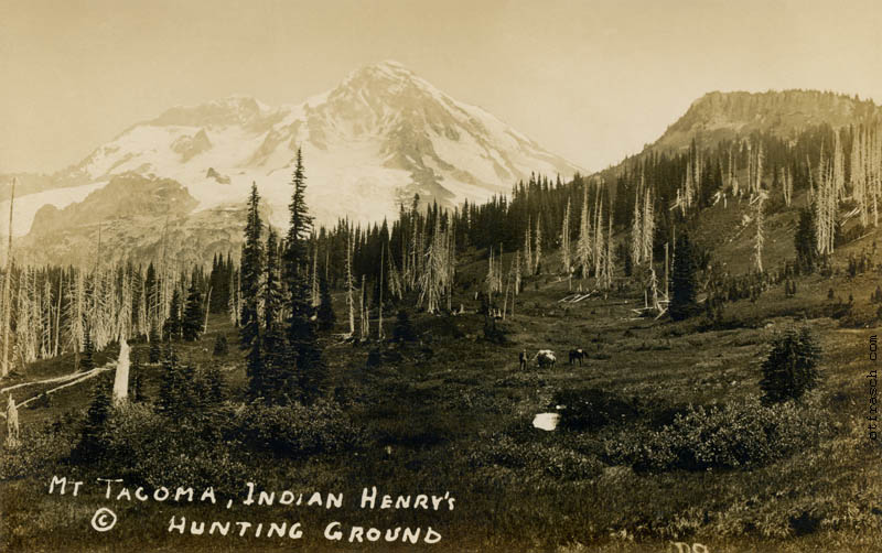 Copy of Image R9 - Mt. Tacoma, Indian Henry's Hunting Ground